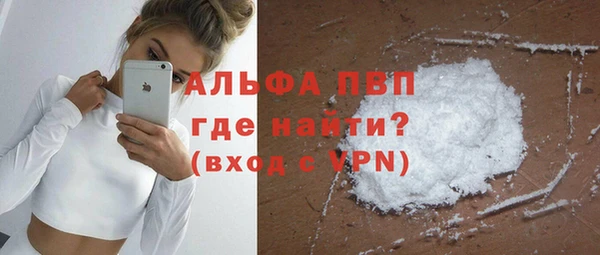 стаф Алексин
