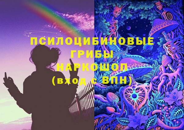 стаф Алексин