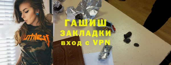 стаф Алексин