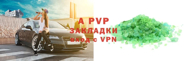 стаф Алексин