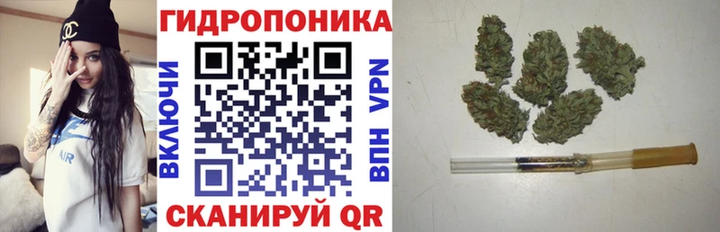 Каннабис планчик  darknet Telegram  Сосенский 